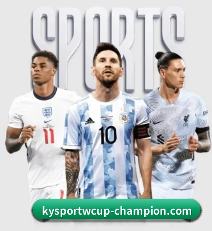 五大服务分区,信息按项目分类